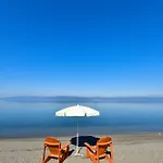 Olive İznik