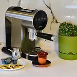 Kamp alanı Olive *