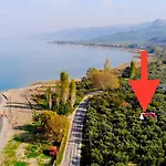 Olive Kamp alanı İznik