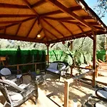 Olive Kamp alanı