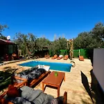 Olive * İznik