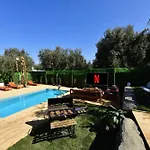 Olive İznik