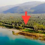 Olive Kamp alanı İznik