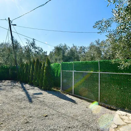 Olive Campsite *