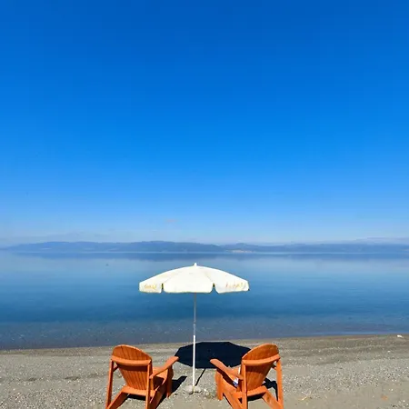 Olive Iznik
