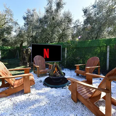 Campsite Olive *