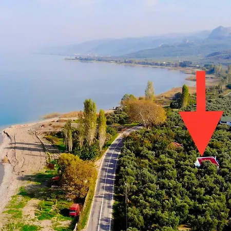Olive Campsite Iznik