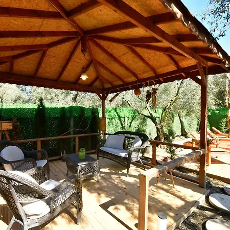 Olive Campsite