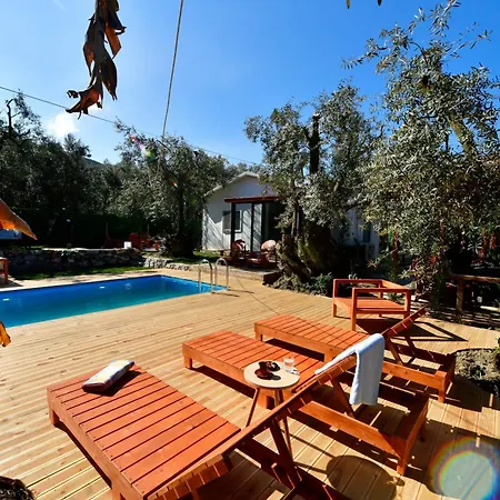 Campingplatz Olive *