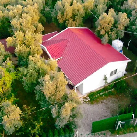 Campsite Olive Iznik