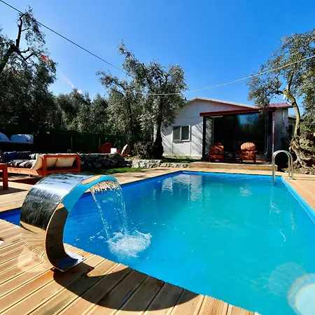 Olive Campsite Iznik