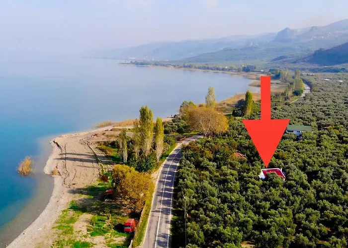 Olive 캠프장 이즈니크