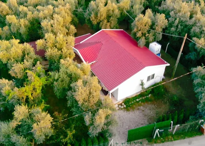 캠프장 Olive 이즈니크