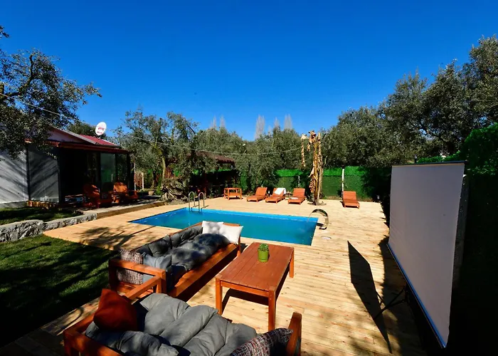 Olive * 이즈니크