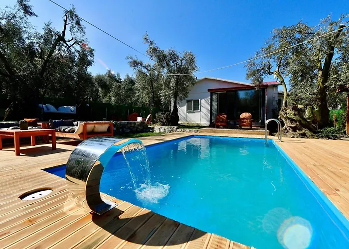 Olive 캠프장 이즈니크